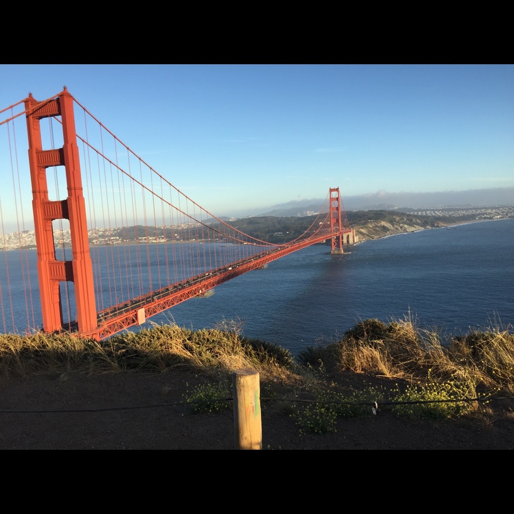 Meet your Posher, Ally